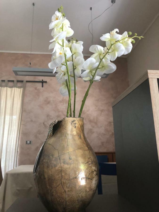 Apartment Olivia Ciginj Экстерьер фото