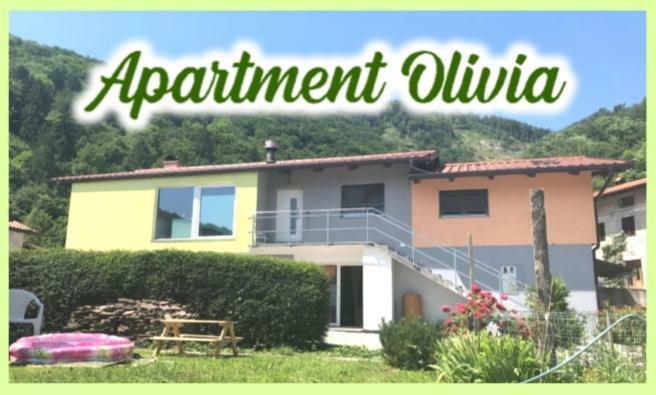 Apartment Olivia Ciginj Экстерьер фото