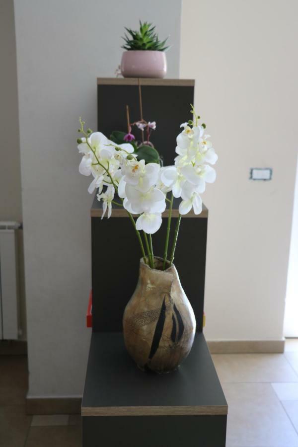 Apartment Olivia Ciginj Экстерьер фото